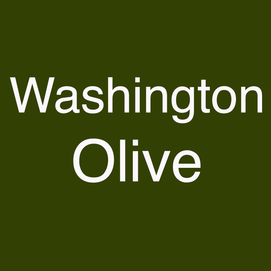 5478 waa olive