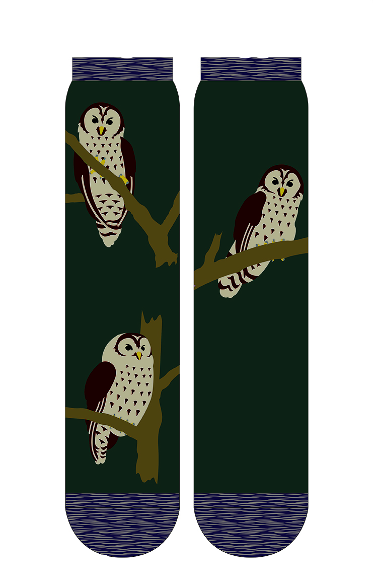 5491 owl animal bird gift socks