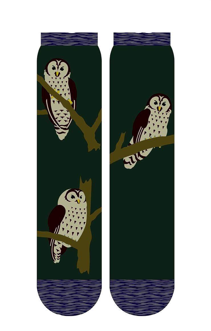 5497 owl animal bird gift socks